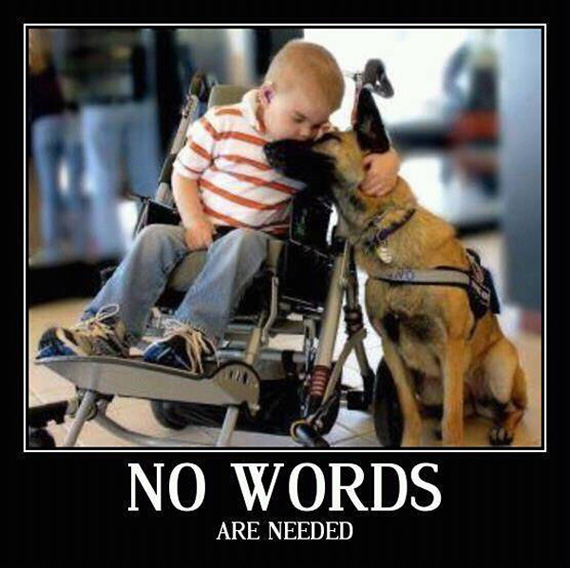 No Words Are Needed