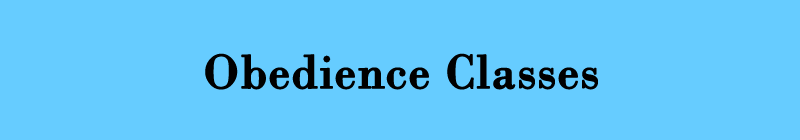 Obedience