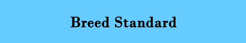 Breed Standard