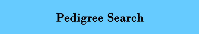 Pedigree Search